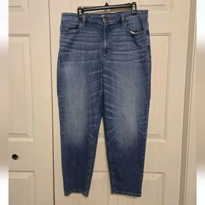 Eileen Fisher Solar Blue Organic Cotton Stretch Jeans Skinny Size 14